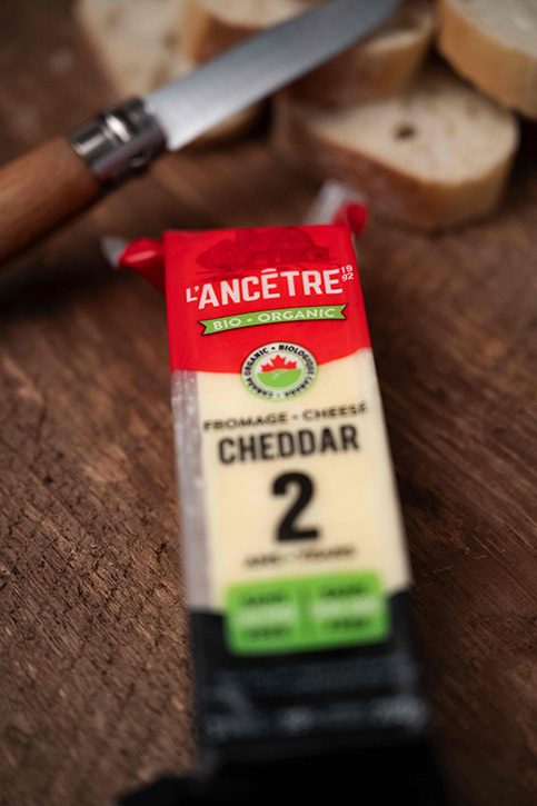 L'Ancêtre Cheddar 2 ans biologique